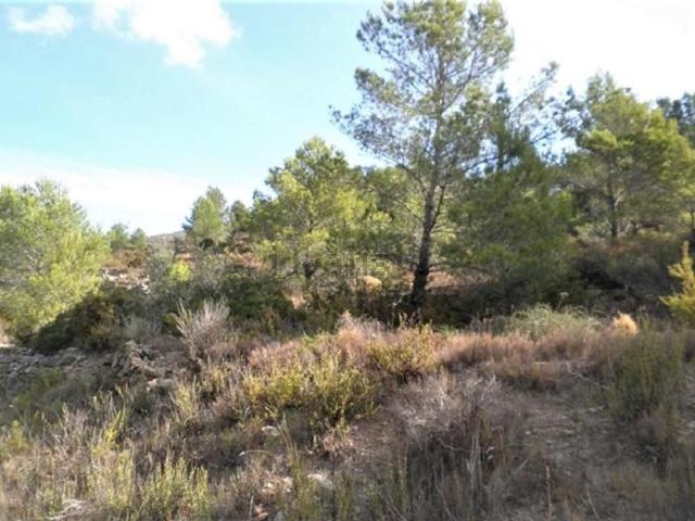 Terreno, Tortosa