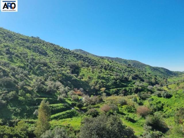 Terreno, Totalan