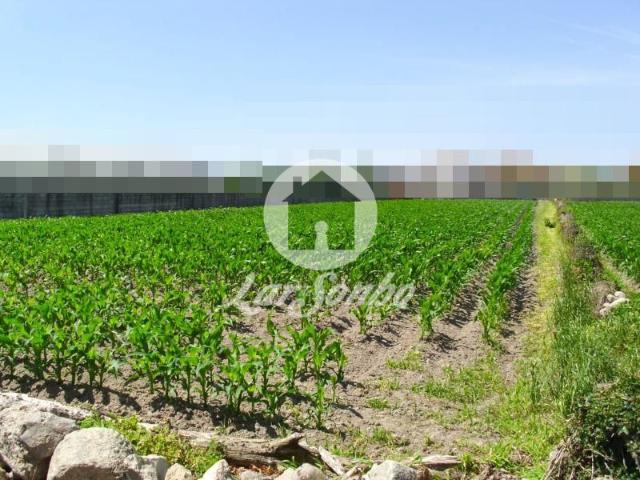 Terreno, Touguinha e Touguinhó, Vila do Conde | BPI Expresso Imobiliário