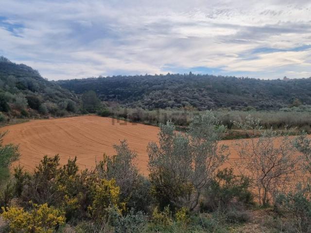 Terreno, Traiguera