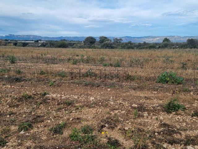 Terreno, Traiguera
