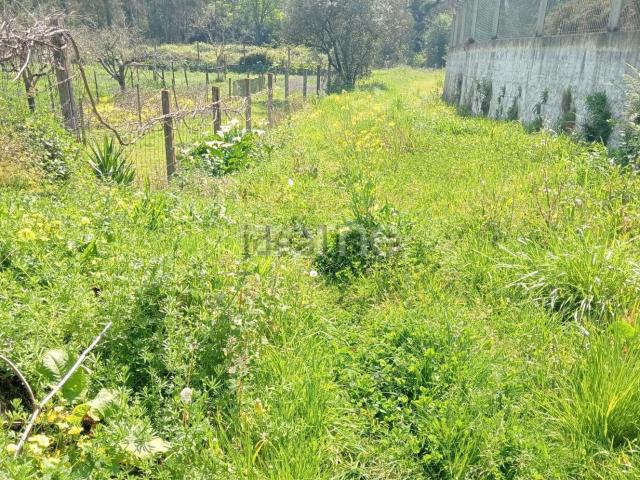 Terreno, Travassô e Óis da Ribeira