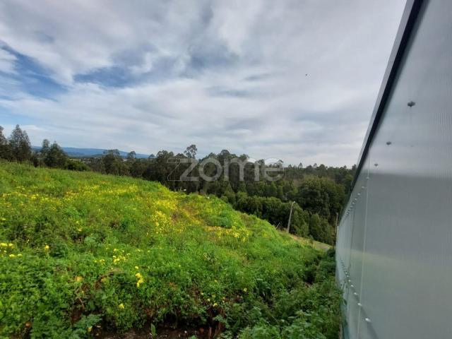 Terreno, Travassô e Óis da Ribeira
