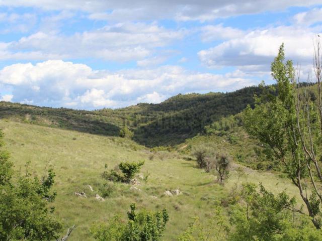 Terreno, Tremp