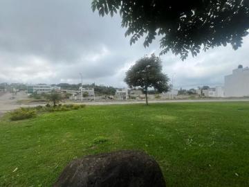 Terreno Tres Pasos