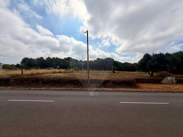 Terreno, Trofa Segadães Lamas do Vouga