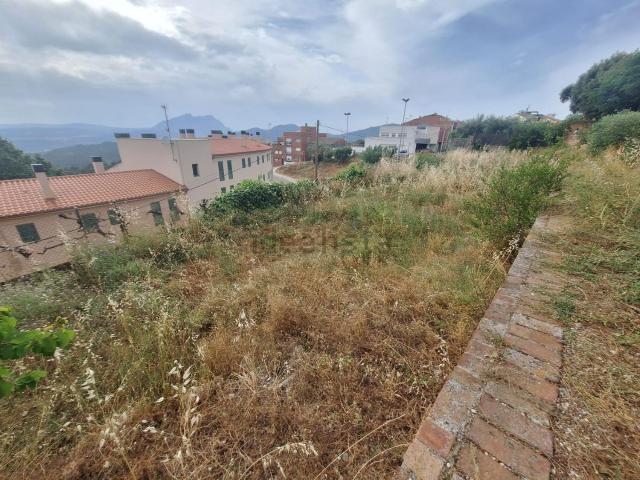 Terreno, Ullastrell