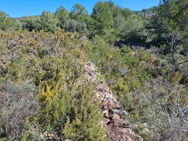 Terreno, Ulldecona