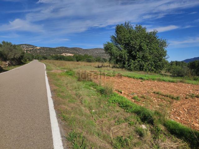 Terreno, Ulldecona