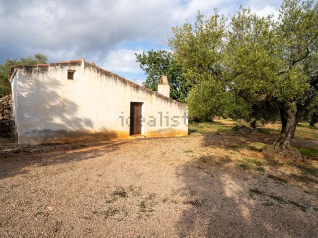 Terreno, Ulldecona