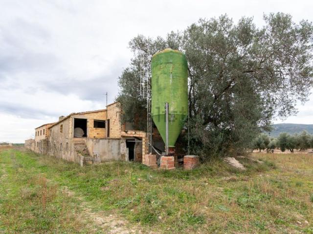 Terreno, Ulldecona