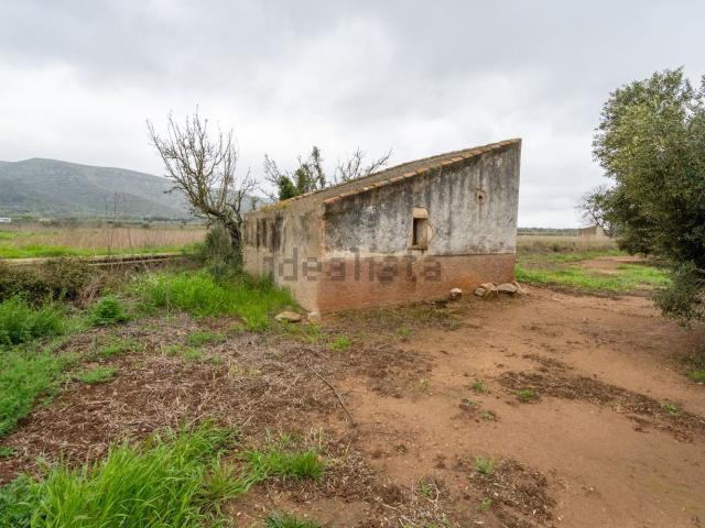 Terreno, Ulldecona