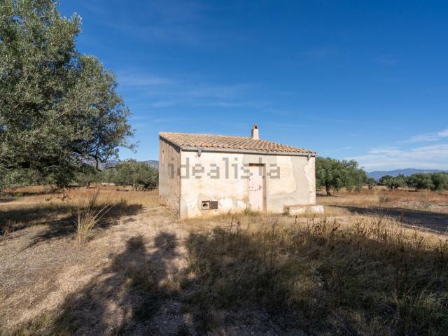 Terreno, Ulldecona