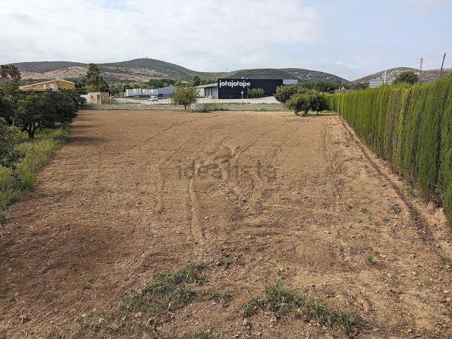 Terreno, Ulldecona