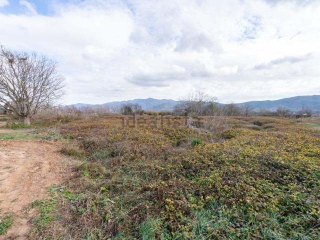 Terreno, Ulldecona