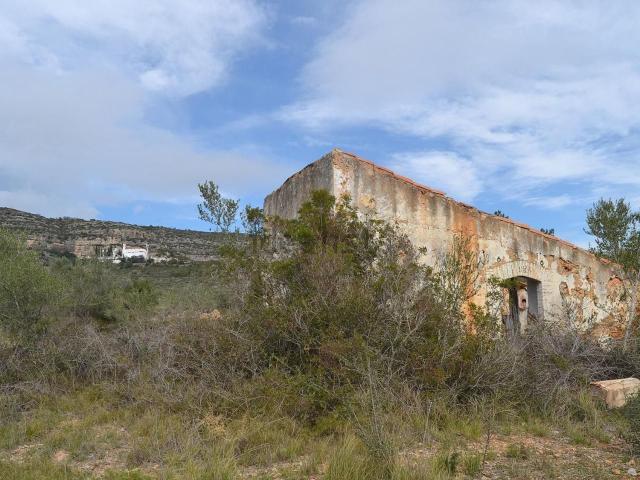 Terreno, Ulldecona