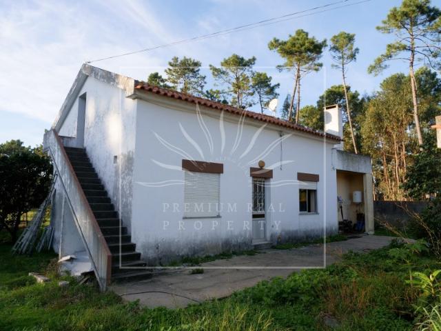 Terreno único na Terra do Barro, Nazaré ideal para zonas residenciais e de cultivo