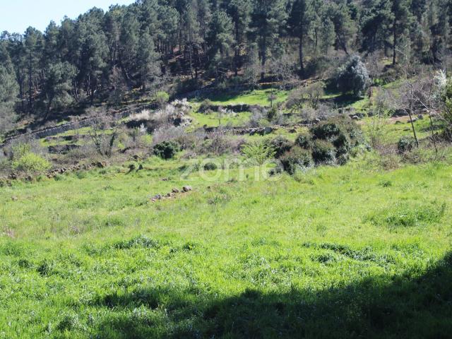 Terreno Único à Venda no Coração do Vale do Demo – Moimenta da Beira