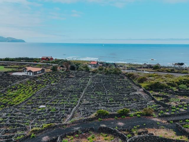 Terreno Único com Vista Mar e Montanha, Formosinha Madalena do Pico
