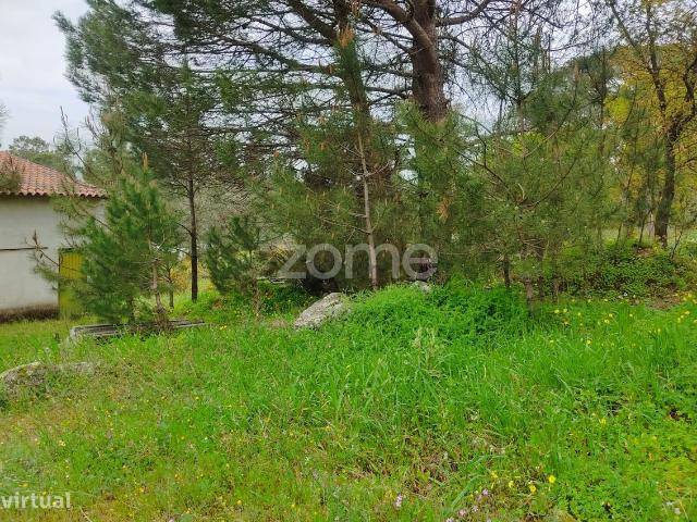 Lote de terreno urbanizvel Venha construir o seu sonho