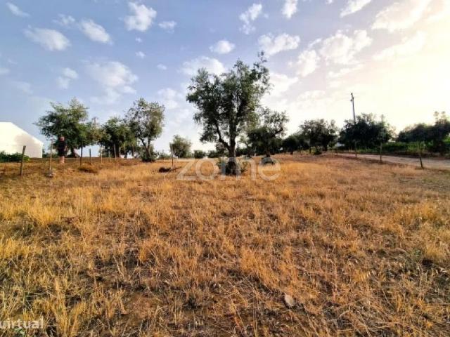 Terreno urbanizvel localizado no centro da Aldeia da Serra