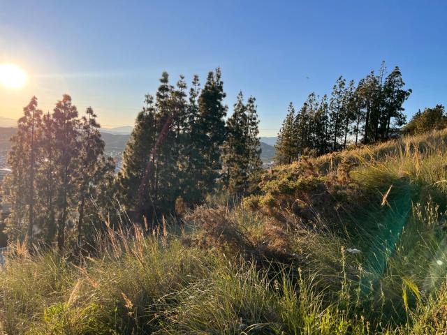 Terreno Urbanizable con Vistas Espectaculares en El Atabal, Málaga