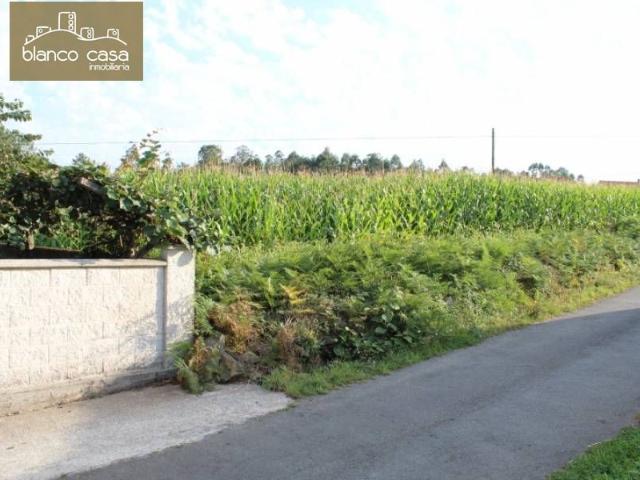 Terreno urbanizable de 1.200m2 en Rabadeira Coristanco