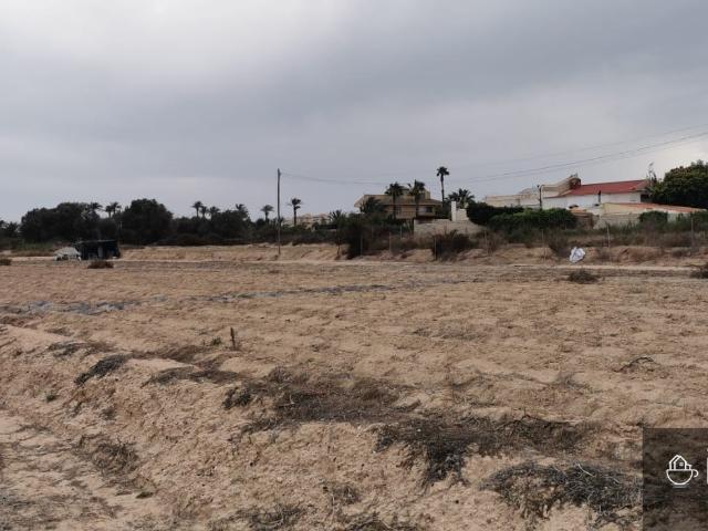 Terreno Urbanizable de 3,800 m² en La Marina del Pinet, Ideal para Inversores