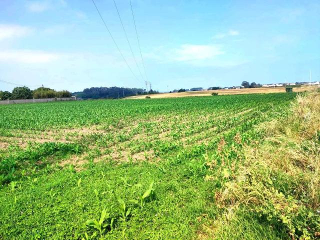 TERRENO URBANIZABLE EN MÁNTARAS, TAPIA DE CASARIEGO