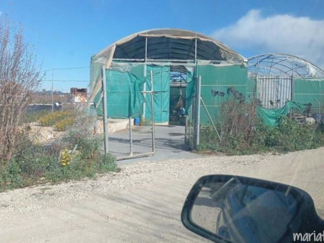 Terreno Urbanizable en Elche