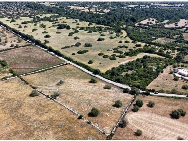 Terreno urbanizable en Son Servera