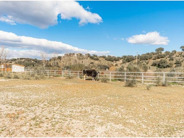 Terreno urbanizable en Venta en Almorox, Toledo