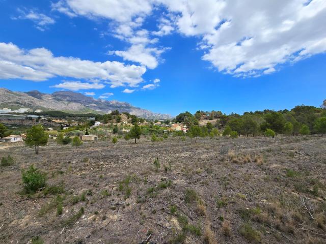 Terreno urbanizable en venta. La Nucía