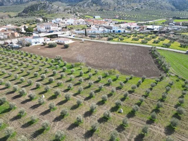 Terreno urbanizable totalmente plano con proyecto aprobado y flexible para 31 viviendas | 8.191 m² junto a la carretera Ronda Campillos, frente a promoción vendida, a 20 min de Ronda y 1 h de Málaga y la Costa del Sol