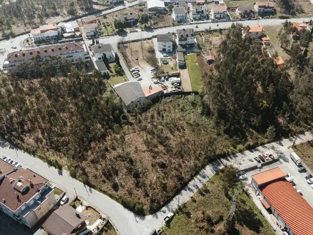 Terreno Urbanizado 6.630m2 Lobão
