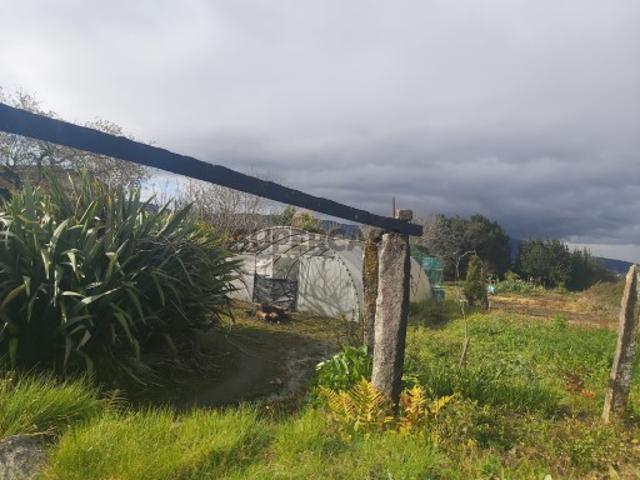 Terreno Urbanizado Darque