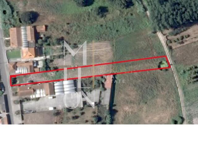 Terreno urbanizável na Rua da Rainha, em Bustos, concelho de Oliveira do Bairro