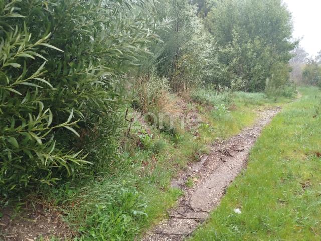 Terreno Urbanizável – O Local Perfeito para Construir a Sua Moradia