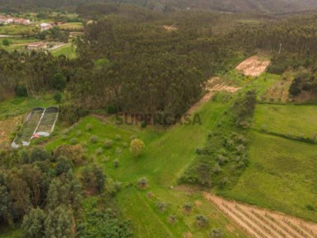 Terreno Urbanizável a 20min de Coimbra/3287m2/perto do IP3/ Alto potencial