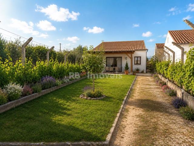 Terreno Urbanizável c/ 1.720 m², Furo, Luz, Barracão e Árvores de Fruto em Asseiceira Tomar