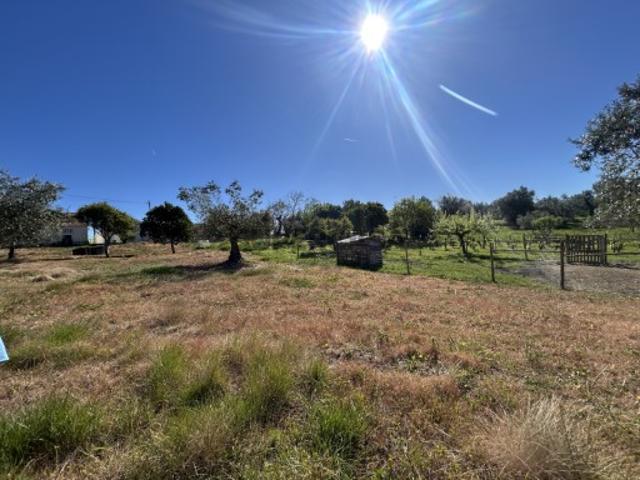 Terreno urbanizável Carvalheiros, Tomar