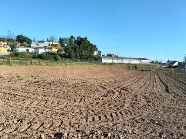 Terreno urbanizável com 19 m de frente Branca / Albergaria a Velha