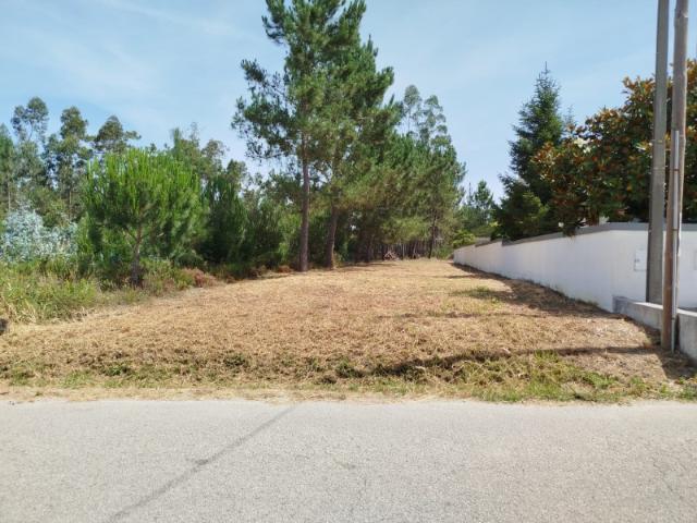 Terreno Urbanizável com 2.160 m² Lagoa do Torrão, Amieiro Arazede