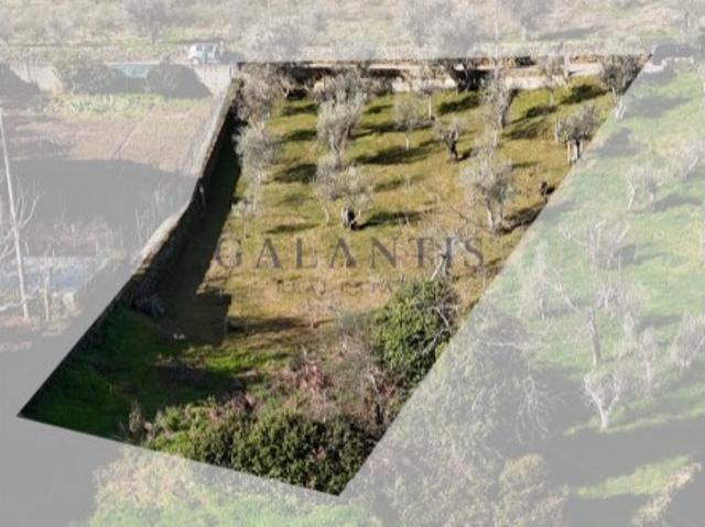 Terreno urbanizável com boas vistas