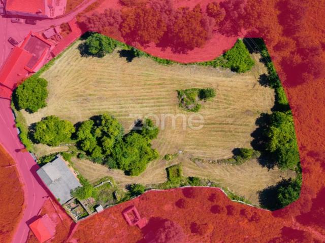 Terreno Urbanizável com Moradia em Barbudo, Vila Verde!