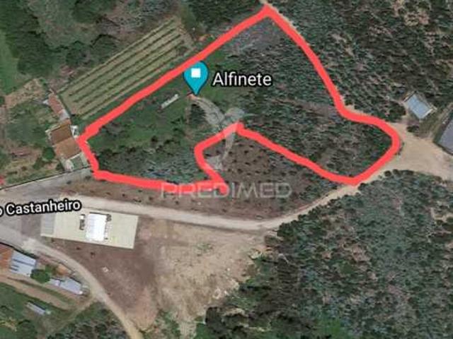 Terreno Urbanizável de 4514m² – Perto do Rio Alfusqueiro