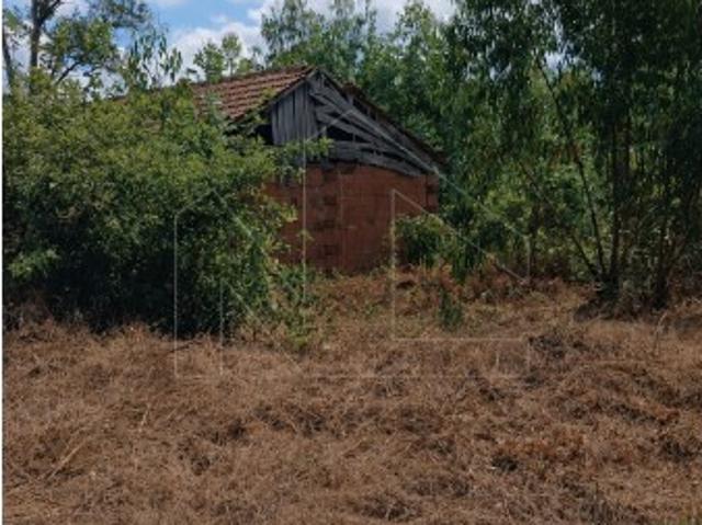 TERRENO URBANIZÁVEL EM ALQUERUBIM | 7.000 M² | 23 M DE FRENTE