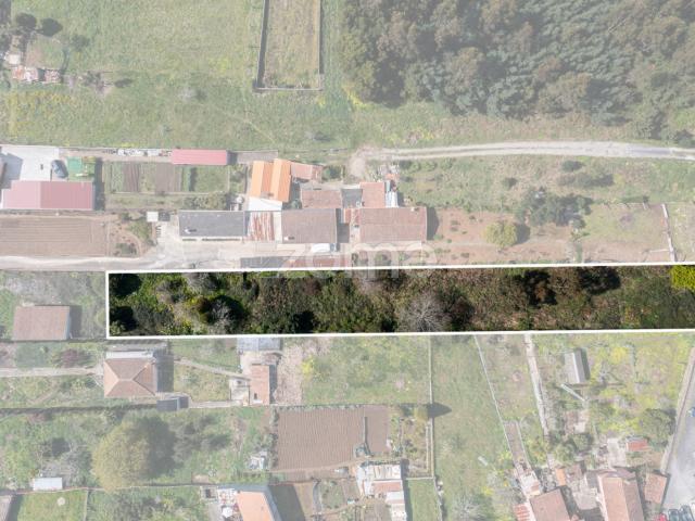Terreno Urbanizável para Construção de Moradia Argoncilhe, S.M.Feira