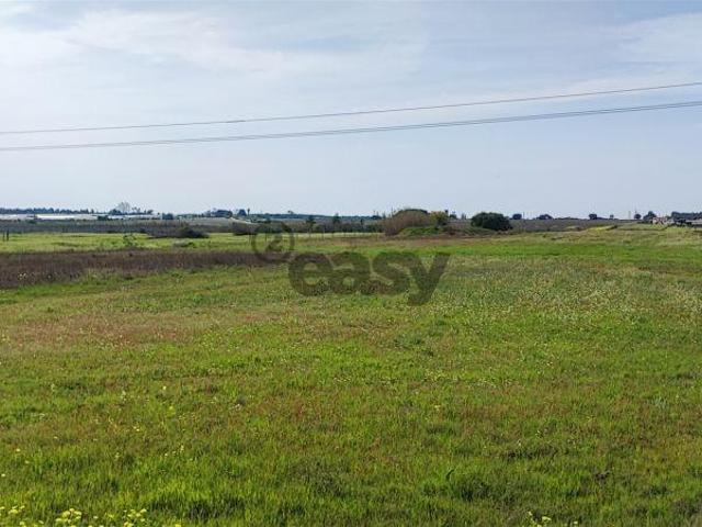 Terreno urbanizável para venda em Taipadas Canha Montijo | 26064075463