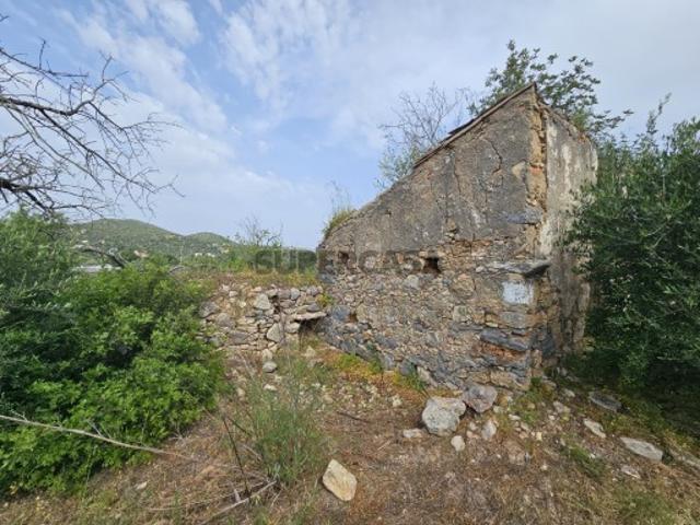 Terreno Urbanizável perto Almancil